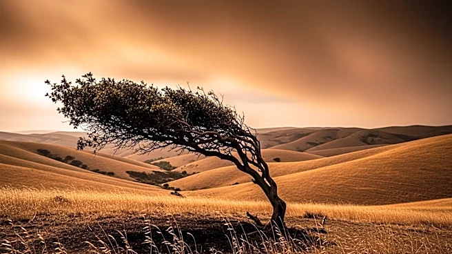 Southern California Faces Santa Ana Winds and Fire Risks