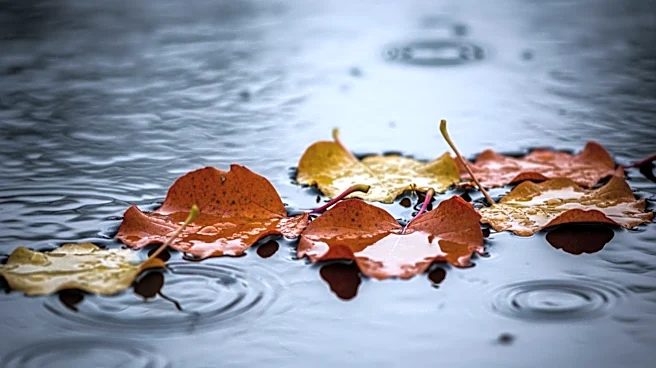 Heavy Rain Causes Flooding in South Chicago Suburbs
