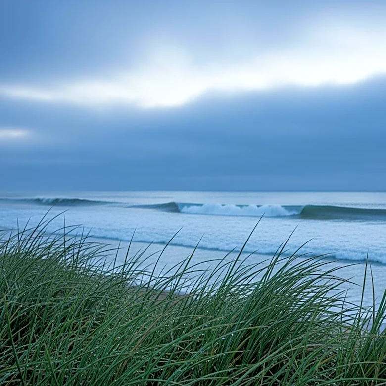 Bay Area Weather: Cooler and Cloudier Days Ahead