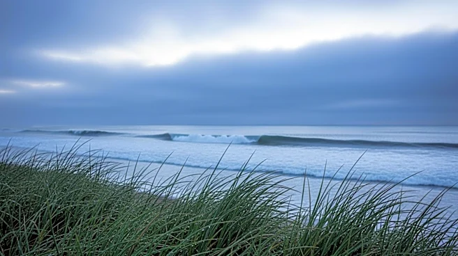 Bay Area Weather: Cooler and Cloudier Days Ahead