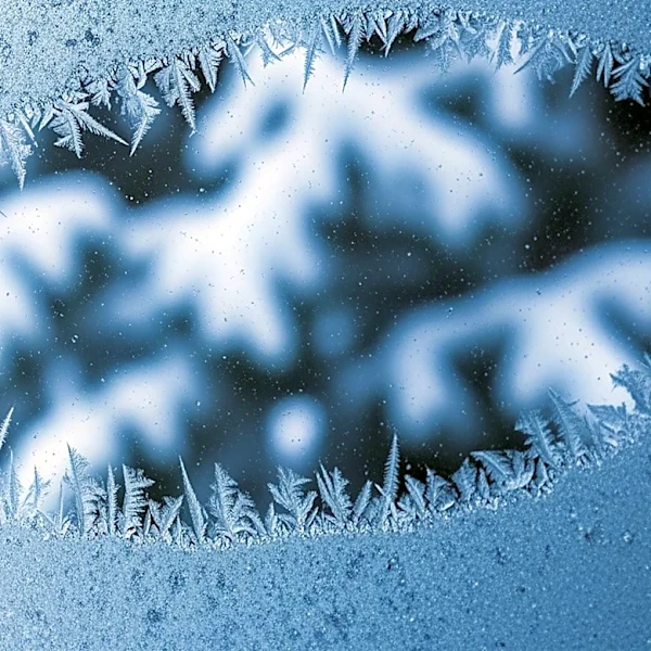 Vancouver Faces Arctic Blast with Freezing Temperatures