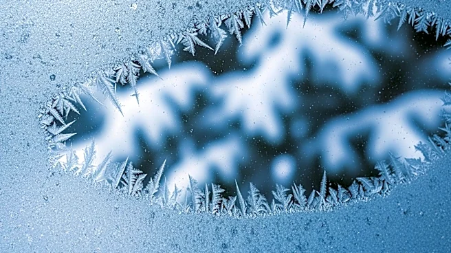 Vancouver Faces Arctic Blast with Freezing Temperatures