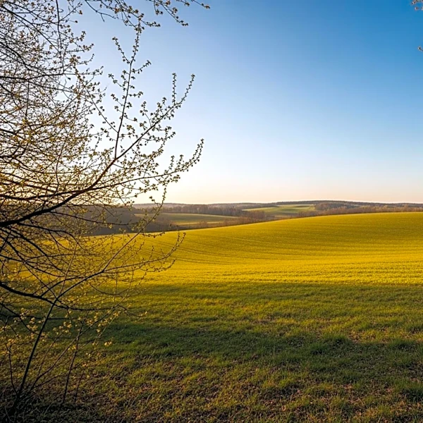 Minnesota Weather Forecast: Sunshine Returns for Easter Sunday