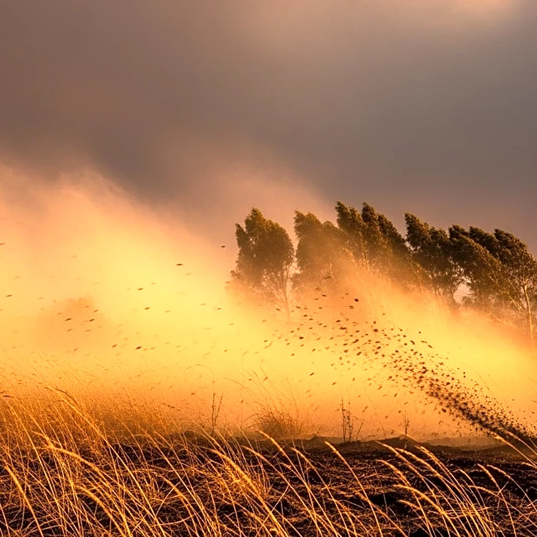 Fast-Growing Wildfire Forces Evacuations in Windy Southern California
