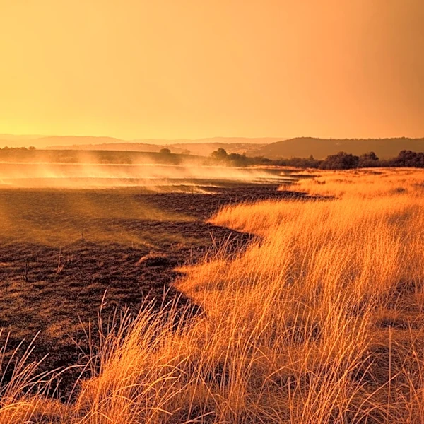 Early Start to Southern California Fire Season with Two Large Brush Fires