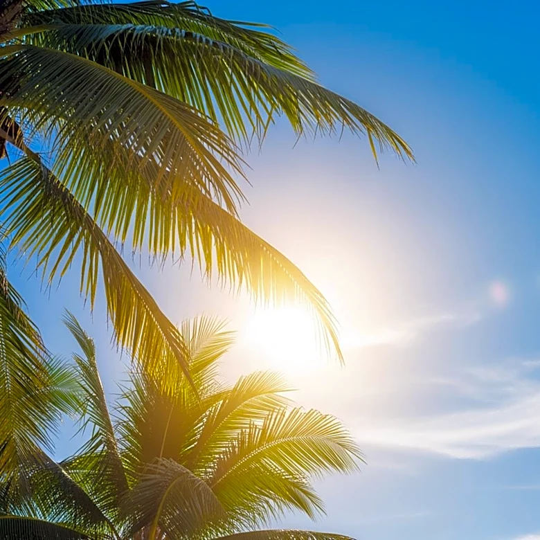 Los Angeles Weather: Sunny Skies and Mild Winds Expected