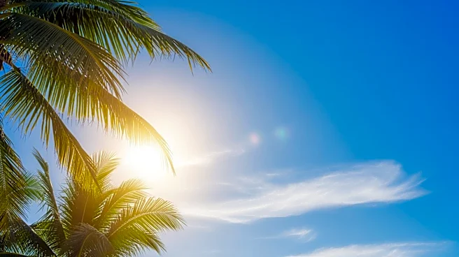 Los Angeles Weather: Sunny Skies and Mild Winds Expected