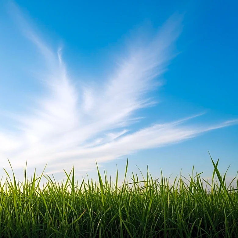 Green Bay Weather Update: Clear Skies and Mild Temperatures Expected