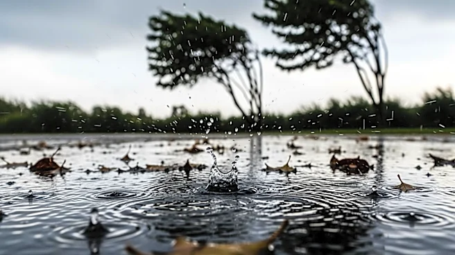 Brooklyn Weather: Rain and Wind Expected This Week