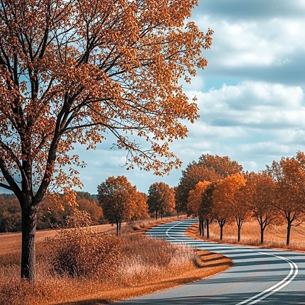 Cooler Weather Expected in Winchester, TN with Partly Cloudy Skies