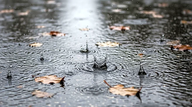 Torrential Rains Cause Soggy Conditions in Homewood-Flossmoor Area