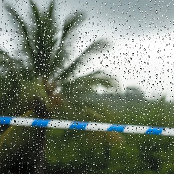 South Florida Prepares for Wet Workweek with Scattered Showers