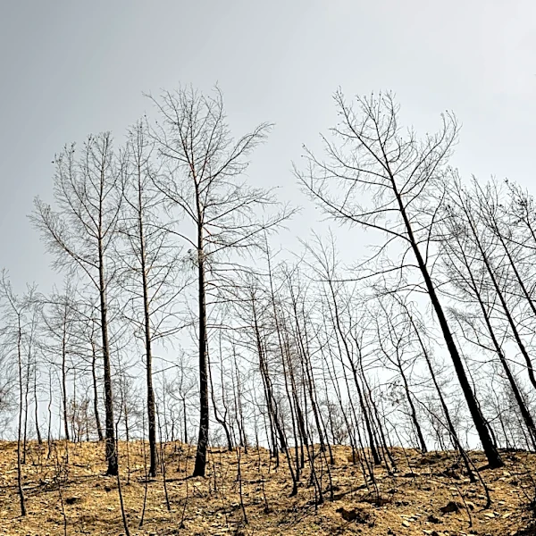 Early April heat wave worsens drought across western U.S.