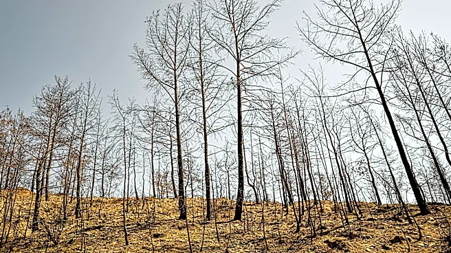 Early April heat wave worsens drought across western U.S.