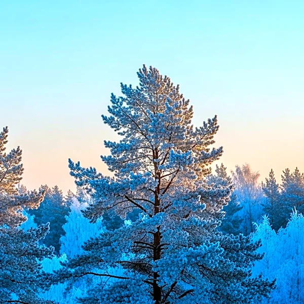 Chilly Start to the Week in Minnesota with Warmer Temperatures Midweek