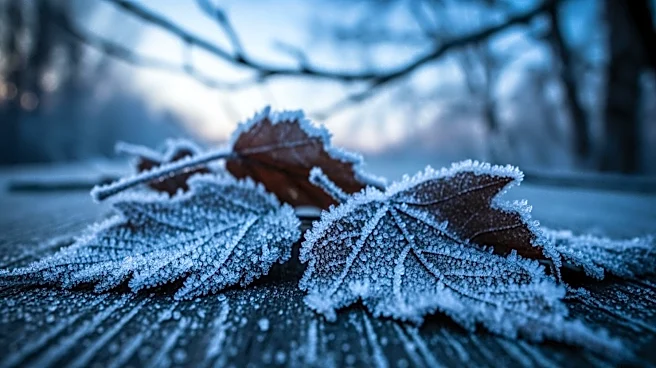 Baltimore Faces Colder Winds and Morning Freeze This Week