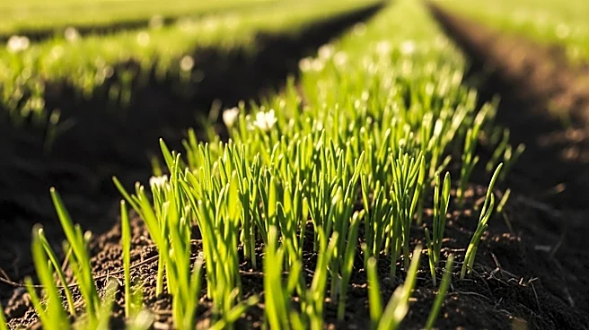 Earlier Spring Arrival Impacts Agriculture and Ecosystems in the U.S.