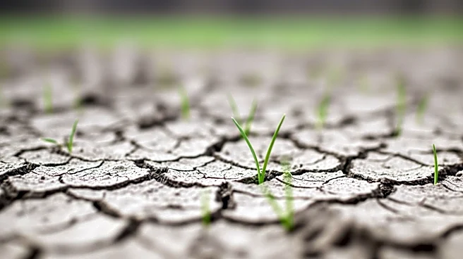 Dry Winter Impacts Spring Planting in Charlotte