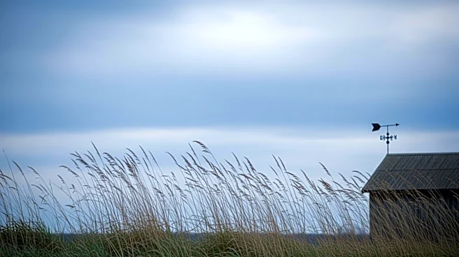 Cool Temperatures and Breezy Conditions Expected in Minnesota on April 7, 2026