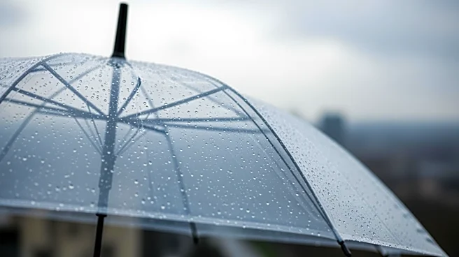 Boston Faces Mild Weather with Rain Showers Expected