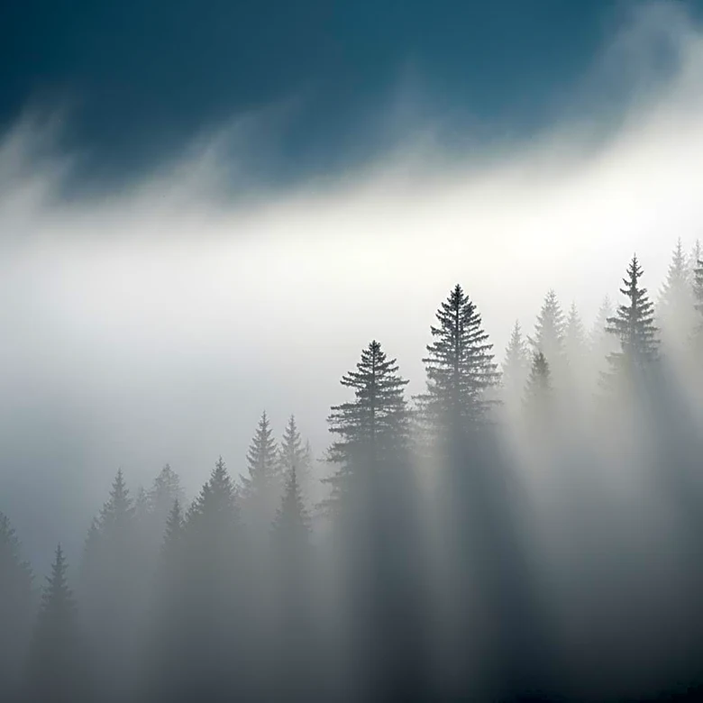 Dense Fog Expected in Appalachian Region