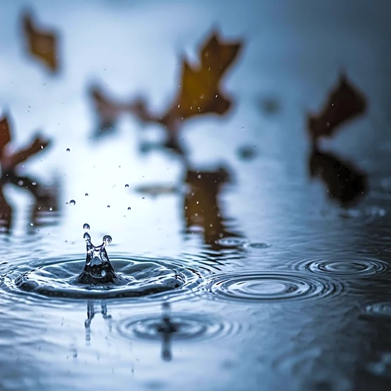 Pawtucket Weather: Rain and Wind Expected This Week