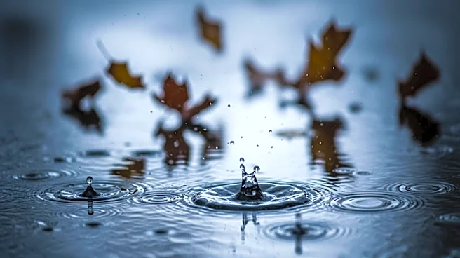 Pawtucket Weather: Rain and Wind Expected This Week