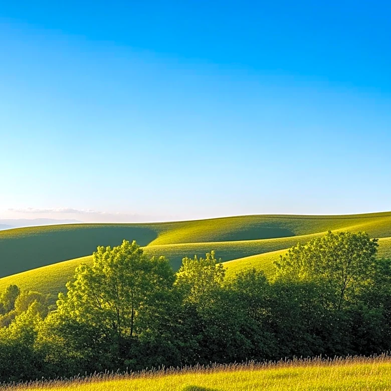 Chattanooga Region Experiences Mild Weather with Clear Skies