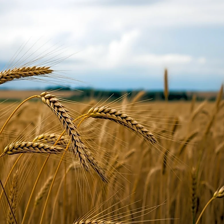 Maine Lawmakers Consider Agriculture Bond Amid Weather Concerns