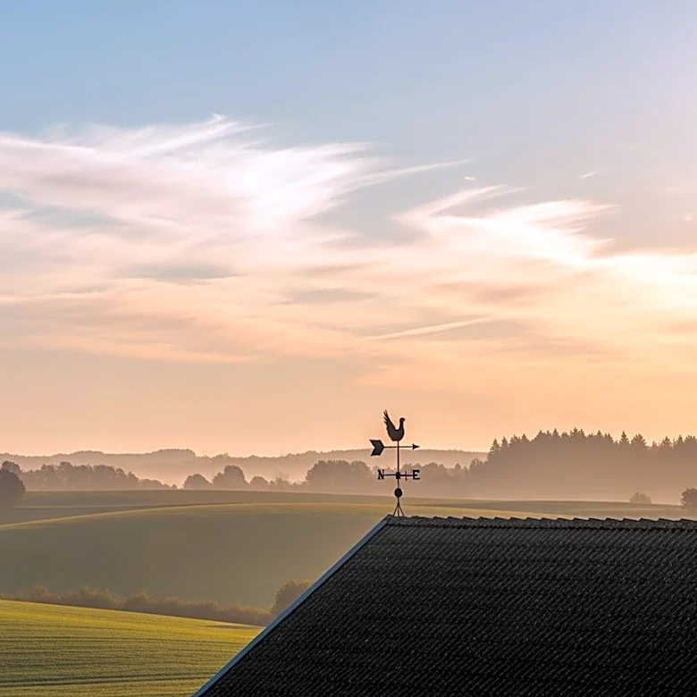 Virginia Weather Forecast: Mild Conditions Expected This Week
