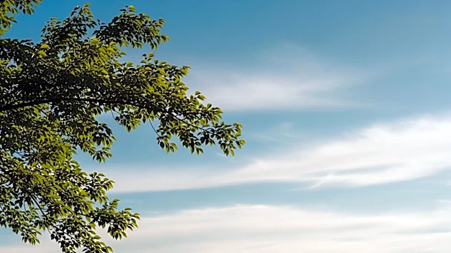 Louisville Weather: Mild Conditions Expected This Weekend