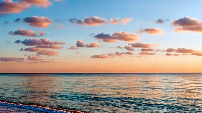 Weather Update: Tampa Experiences Mild Conditions