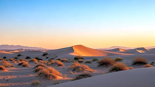 Tucson Weather Update: Clear Skies and Mild Temperatures Expected