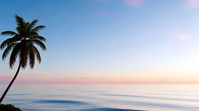 Southwest Florida Weather Update: Clear Skies and Mild Temperatures