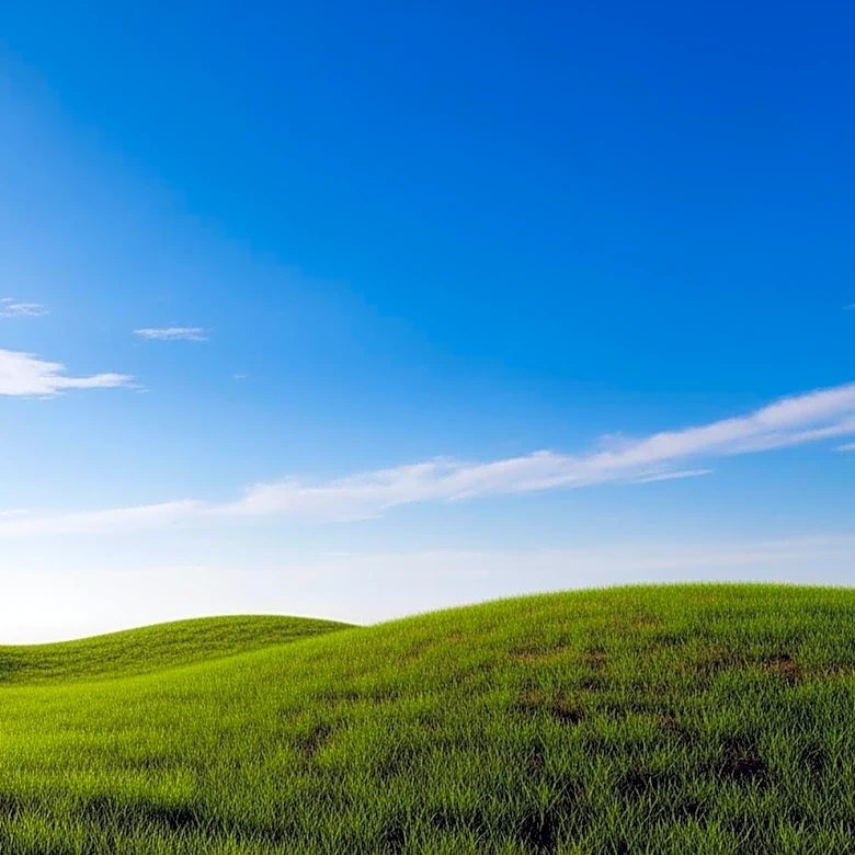 Lexington Faces Mild Weather with Clear Skies