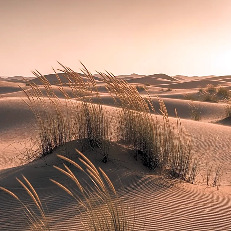 Las Cruces Faces Unseasonably Warm Weather with High Winds