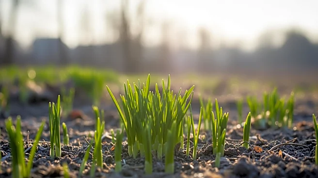 Early Spring Arrival Impacts Agriculture and Ecosystems in the U.S.