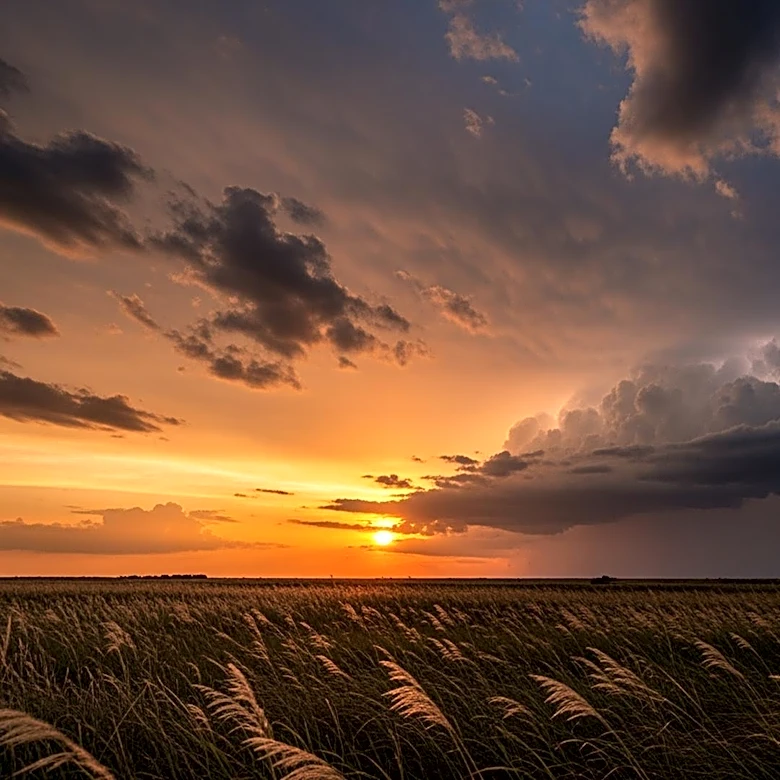 North Texas Sees Rising Temperatures and Increased Storm Chances