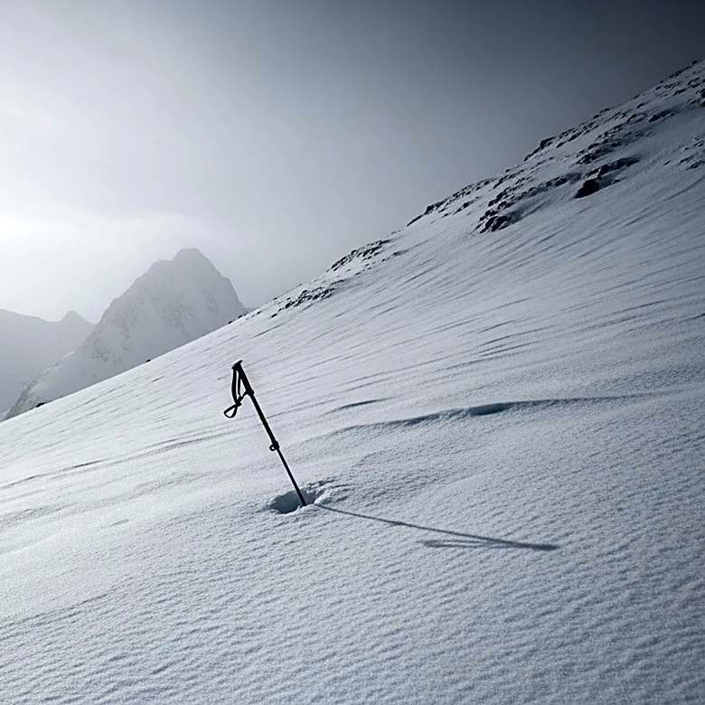 Avalanche Tragedy in California: Experts Question Guide Decisions