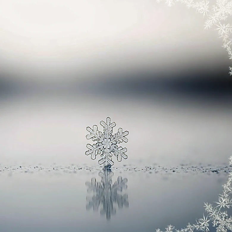 Chicago Seasonal Snowfall: 2025-26 Compared to Historical Records