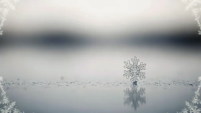 Chicago Seasonal Snowfall: 2025-26 Compared to Historical Records