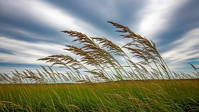 Wind Advisory in Effect for Iowa and Minnesota Counties