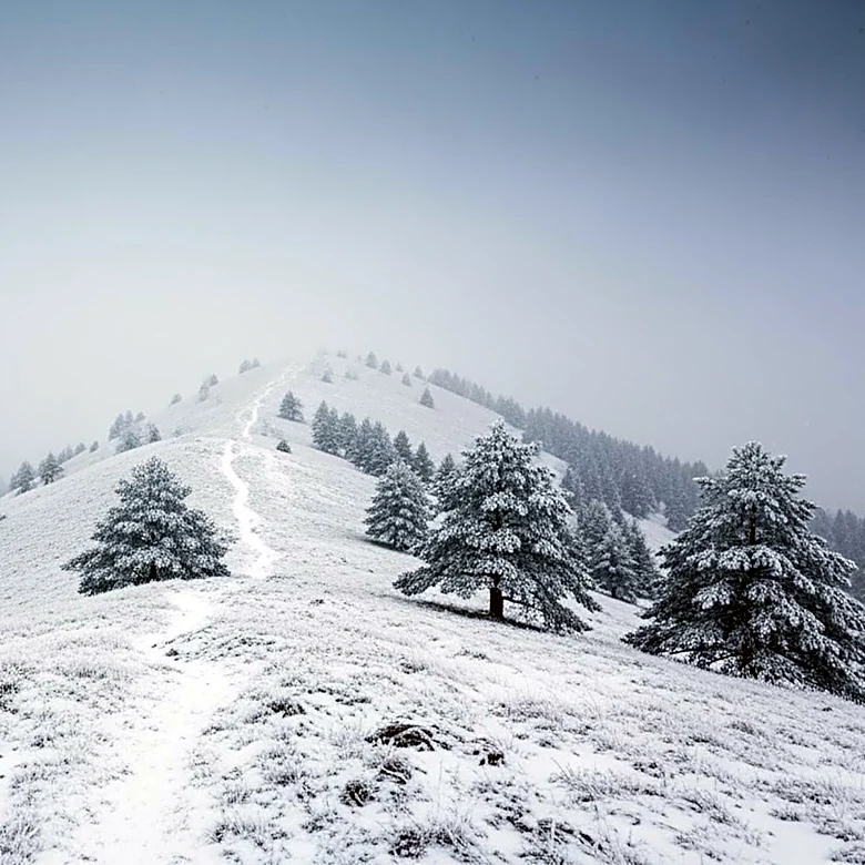 Heavy Snow Band Expected in Eastern Cape, South Africa