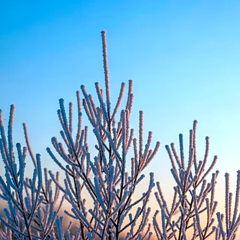 Cold Weather Persists in Maryland Until Thursday, Warmer Weekend Ahead