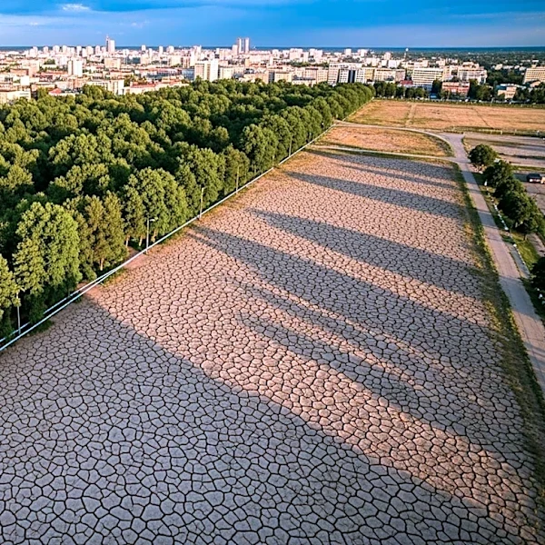 Urban Vegetation Inequality in U.S. Cities Amid Climate Extremes