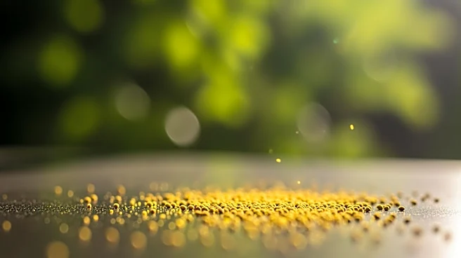 Baltimore Faces Spring Pollen Allergy Season Challenges