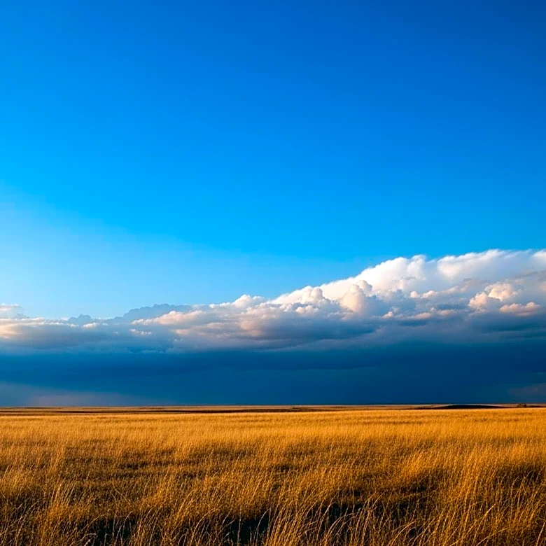 Warm and Dry Conditions Persist in North Texas Before Storms Arrive