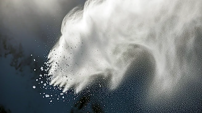 Innovative Imaging Reveals Dynamics of Powder Snow Avalanches