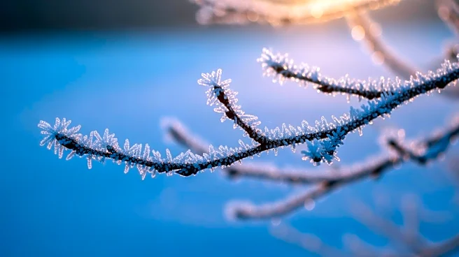 Frosty Morning in Maryland Precedes Mid-Week Warm-Up