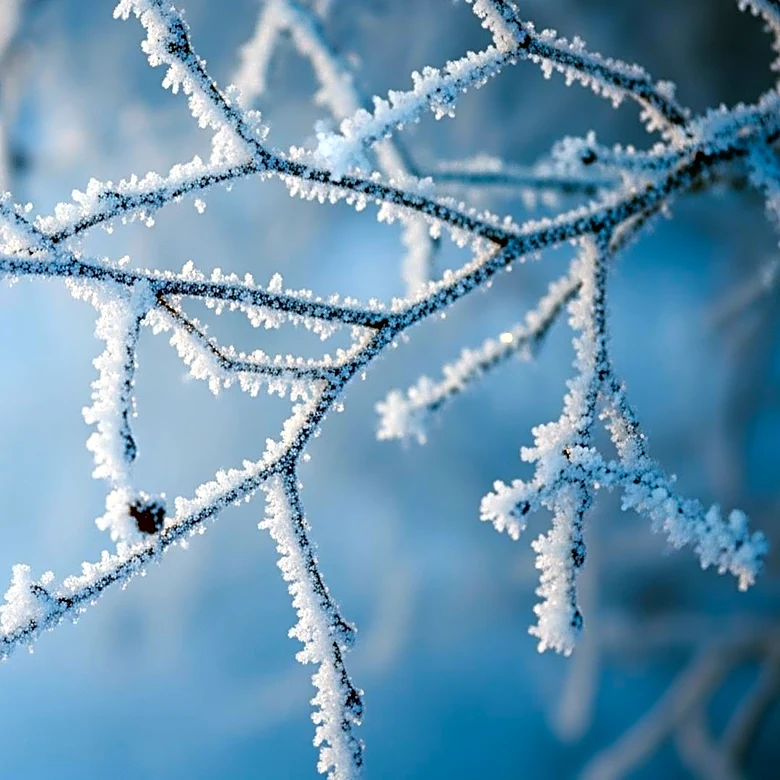 Joint Care in Cold Weather: Tips for Maintaining Mobility